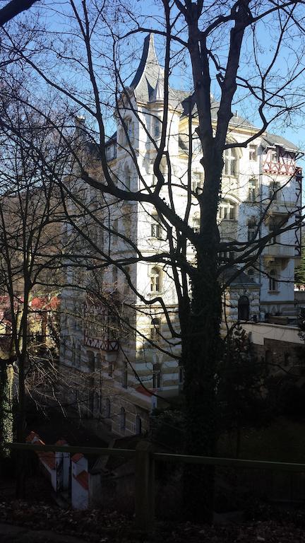 Villa Sofia Apartments Karlovy Vary Kültér fotó